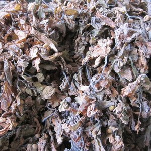 สาหร่ายทะเลอบแห้งจากเวียดนาม - Product Image 1