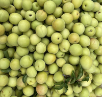 Poudre de prune aigre de qualité alimentaire, poudre d'Ume, poudre de jus de prune aigre, poudre de fruit de prune aigre