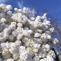 Mur de fleurs artificielles DKB, best-seller, décoration murale de fleurs blanches de qualité supérieure, toile de fond de 8 pieds x 8 pieds pour la décoration de mariage en intérieur