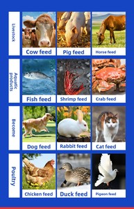 Nuova Macchina per <span class=keywords><strong>Pellet</strong></span> JINXIU ad Alta Produzione 2T/H, Dimensione <span class=keywords><strong>Pellet</strong></span> 4-6mm, per Mangime <span class=keywords><strong>Conigli</strong></span>, con Motore Elettrico 37KW, Costruzione in Acciaio Q235 - Product Image 3