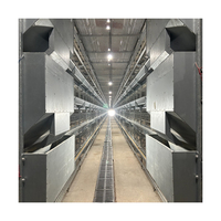 Système de cages automatiques pour poussins pondeuses d'un jour et poussins de chair de type H, en acier galvanisé à chaud, conception brevetée