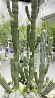 Grande plante artificielle de désert tropical en plastique de colonne de cactus de simulation pour l'article décoratif de verdure de conception intérieure
