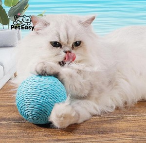 2025 Nueva gran oferta en Stock <span class=keywords><strong>de</strong></span> fábrica, precio bajo, <span class=keywords><strong>venta</strong></span> al por mayor, Bola <span class=keywords><strong>de</strong></span> Sisal Extra grande para gato, perro, autoentretenimiento, aliviar el aburrimiento - Product Image 4