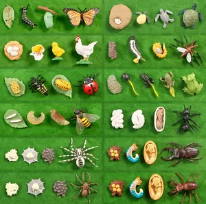 시뮬레이션 동물 성장주기 나비, 무당 벌레, 치킨 라이프 사이클 플라스틱 모델 줄기 몬테소리 장난감 교육 어린이 장난감