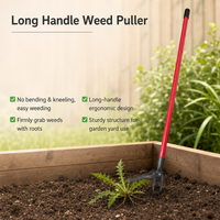 Herramienta Manual Industrial de Jardinería para Desherbar con Mango Largo, Suministro de Fábrica, OEM para Eliminar Raíces de Maleza en Jardín/Césped