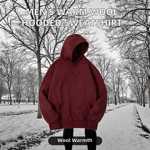 Sweat-shirts à capuche pour hommes, tendance, chauds, 100% coton, hiver, couleur unie, coupe ample, de haute qualité, épais - Product Image 2
