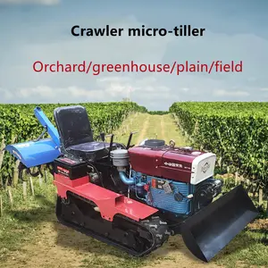 35 PS hochwertige Wandertr aktor Pflug Preis Pinne Maschine landwirtschaft liche Mini Rotavator Mikro Diesel Pinne zu verkaufen