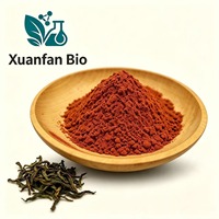 Approvisionnement direct usine : Poudre de polyphénols de thé vert 98% (50% EGCG) – Extrait de feuilles de Camellia Sinensis soluble dans l'eau, qualité alimentaire, en fût, avec COA