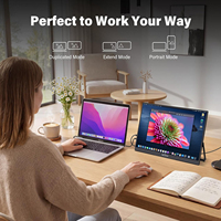 Monitor Portátil con Pantalla Táctil Eimio de 15.6 Pulgadas 4K, Contraste de 1200:1, Tipo-C UHD, Pantalla Táctil Externa, Extensor de Pantalla para Laptop, OEM ODM