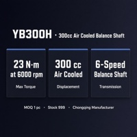 Moteur de moto tout-terrain refroidi par air 300cc YB300H Boîte de vitesses à six rapports Arbre d'équilibrage Conçu pour les motards d'enduro