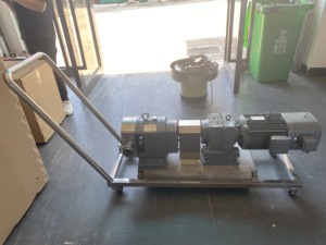 Bomba de rotor de leva sanitaria de acero inoxidable HONEMIX, bomba de lóbulos rotativos de grado alimenticio para transferencia de alta viscosidad PM - Product Image 6