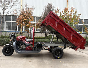 Tricycle à essence à 3 roues, très demandé, avec moteur refroidi par eau ou par air, pour adultes, idéal pour la livraison - Product Image 5