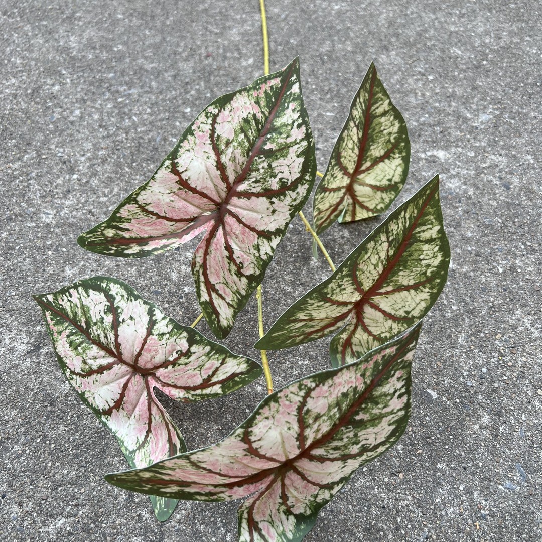 5 fourchettes haute branche couleur feuille taro rose vert
