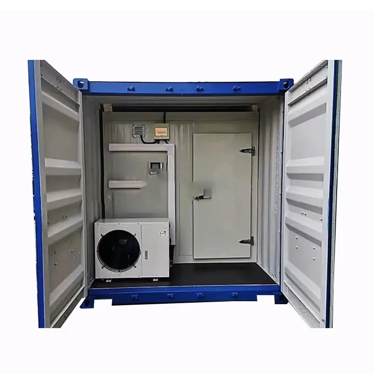Conteneur chambre froide 20 pieds congélateur walk-in à énergie solaire chambre de stockage frigorifique avec porte articulée équipement de réfrigération