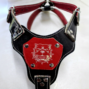 ปลอกคอสุนัขหนังแท้สุดพิเศษ - ดีไซน์ทันสมัย ผลิตพิเศษ คุณภาพสูง - Product Image 1
