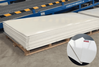 Panneau mural extérieur en PRV avec gelcoat en fibre de verre de 1 à 4 mm d'épaisseur - Finition lisse, feuille isolante haute résistance aux chocs, certifié ISO 9001 pour VR