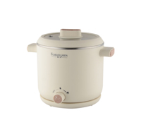 Appareils électroménagers, bouilloire électrique multifonction, marmite de cuisson électrique, cuiseur à œufs, cuiseur à légumes et à riz