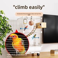 Grande cage à oiseaux pour perroquets et thrushcross, design de luxe en peau de tigre, usage domestique