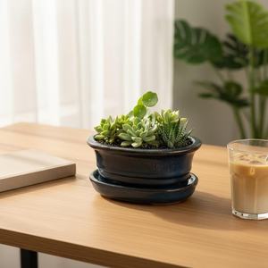 Maceta de Cerámica para Bonsái, Pequeña, Multi-Estilo, con Acabado Azul, Duradera, Ecológica, para Uso en Interiores y Exteriores - Product Image 1