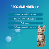 Semua Ras Semua Usia Anjing Kucing Suplemen Cair Pendukung Kekebalan Anti Virus dengan Taurin & Vitamin 60ml
