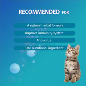Suplemen tambahan Anti Virus, suplemen suplemen cair Anti Virus, anjing kucing semua usia - Product Image 5