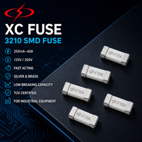 Fusible XC 3210 10x3.2mm 250mA-60A AC/DC 125V/250V à action rapide basse tension certifié TUV en argent et laiton pour équipement industriel