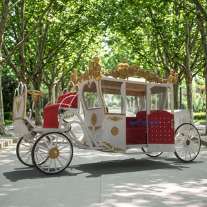 รถม้าไฟฟ้าดีไซน์ใหม่ระดับไฮเอนด์ ราคาโรงงานพร้อมข้อเสนอพิเศษ - Product Image 1