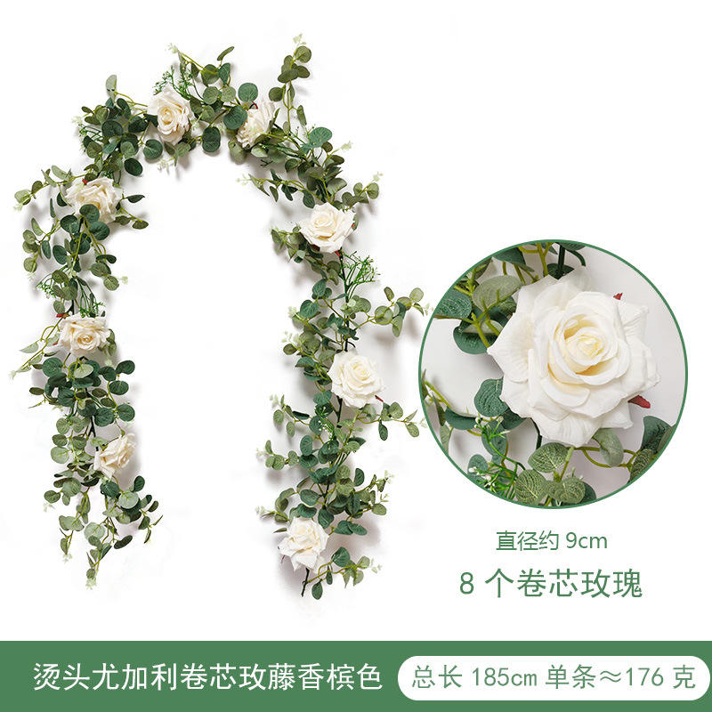 1.85 meters of Roten Tendril