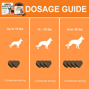 कुत्तों में ओमेगा स्किन कोट के पूरक 200 जी सैल्मन तेल धा एपा स्वस्थ त्वचा चमकदार कोट फैक्ट्री को सपोर्ट करता है - Product Image 4