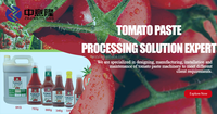 Fabricant Meilleur prix Petite usine de transformation automatique Ligne de production de pâte de tomate Machine de fabrication de pâte de tomate Industrie alimentaire
