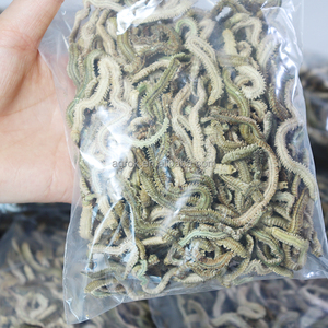 เหยื่อตกปลาแบบแห้งเหยื่อตกปลาแท้100กรัมเหยื่อตกปลาหนอนหนอนธรรมชาติเหยื่อตกปลาแบบแห้ง - Product Image 5