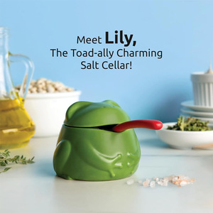 Salière grenouille 8,9x9,2x10cm avec couvercle et cuillère pour la décoration de cuisine - Product Image 3