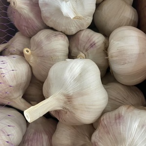 Nouvel <span class=keywords><strong>Ail</strong></span> Frais de Chine, <span class=keywords><strong>Ail</strong></span> Blanc Normal Frais à Bon Prix - Product Image 6