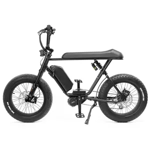 סגנון שונים e-אופני 13-20ah חשמלי לכלוך אופני 20 אינץ חשמלי עיר אופני שומן צמיג חשמלי אופני 7 מהירות חשמלי אופניים