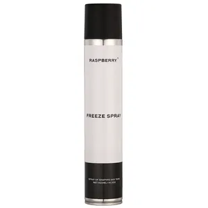 Private Label Perfume Men's Fragrance Hairspray de longa duração não oleoso e sem resíduos spray de estilo de cabelo 420ml OEM
