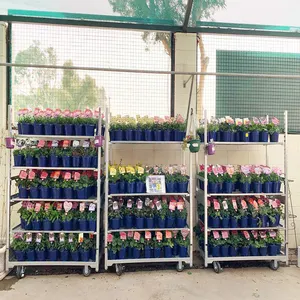 Danimarka çiçek bitki taşıma bahçe aracı arabaları - Product Image 1