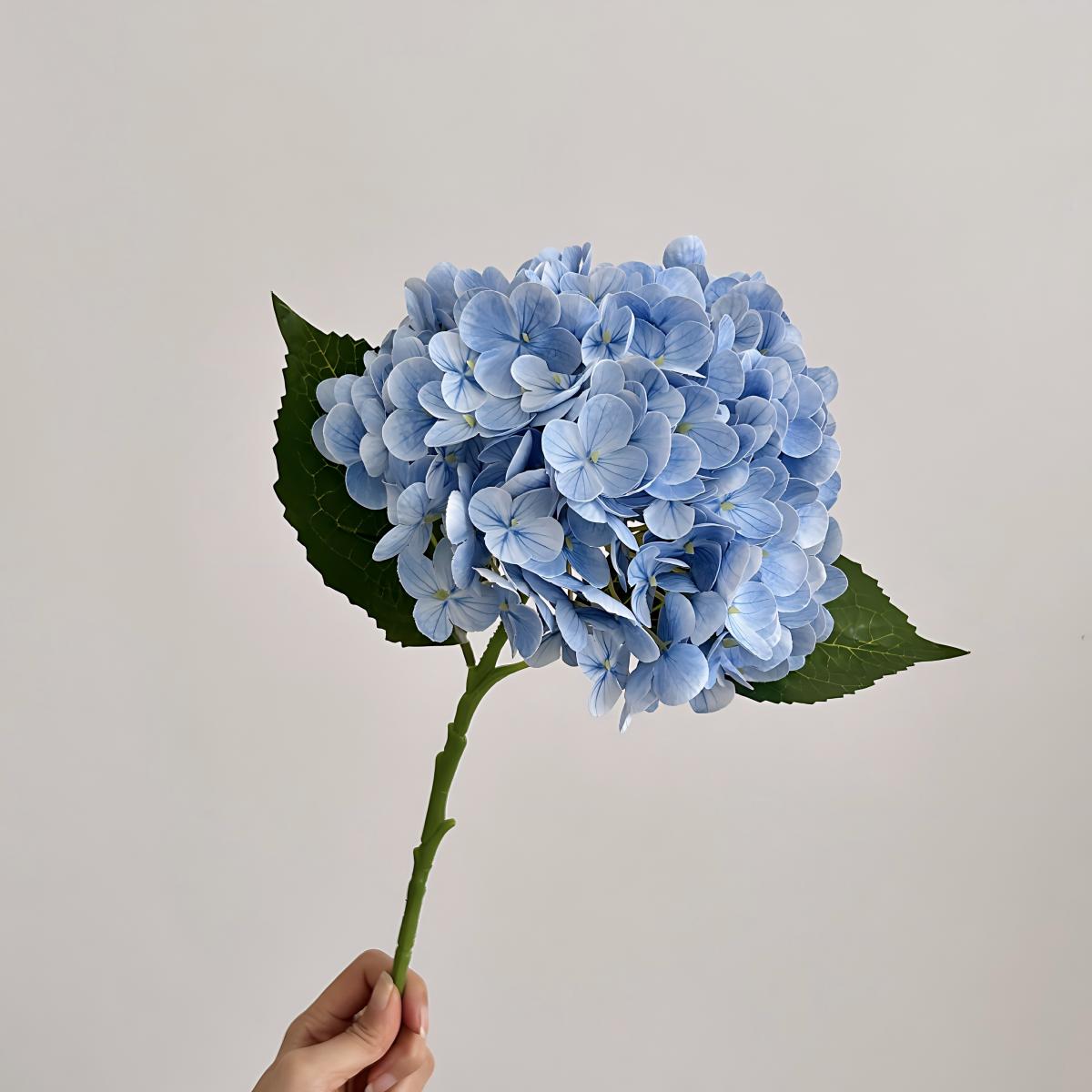 Bleu clair