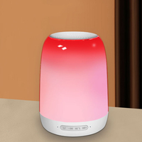 Mini Altavoz Portátil con Luz RGB USB, Radio FM, Reproductor de Tarjetas TF, para Cine en Casa y Computadora, 5W, Batería de 2000mAh, Regalo Navideño, OEM