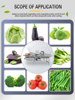 Ligne de traitement automatisée complète des légumes et des salades pour la coupe, les lavages, le séchage et le pesage des légumes à feuilles de laitue