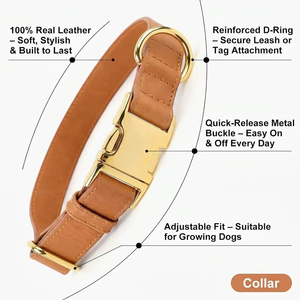 Collar de Cuero Premium <span class=keywords><strong>para</strong></span> Perro, Hebilla de Liberación Rápida de Metal Resistente, Collar Ajustable y Suave <span class=keywords><strong>para</strong></span> <span class=keywords><strong>Perros</strong></span> Pequeños, Medianos y Grandes - Product Image 4