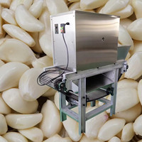 Éplucheur d'ail entièrement automatique de type chaîne à haut rendement commercial à grande échelle
