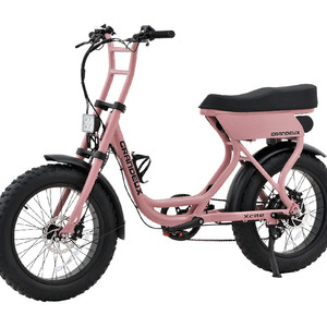 จักรยานเสือภูเขาไฟฟ้า รุ่น ATV07CE ขนาด 20 นิ้ว โครงอะลูมิเนียม 48V 250W แบตเตอรี่ 10AH พร้อมจอ LCD จากโรงงาน  คลังสินค้า จักรยานไฟฟ้า 48v 7 - Product Image 1