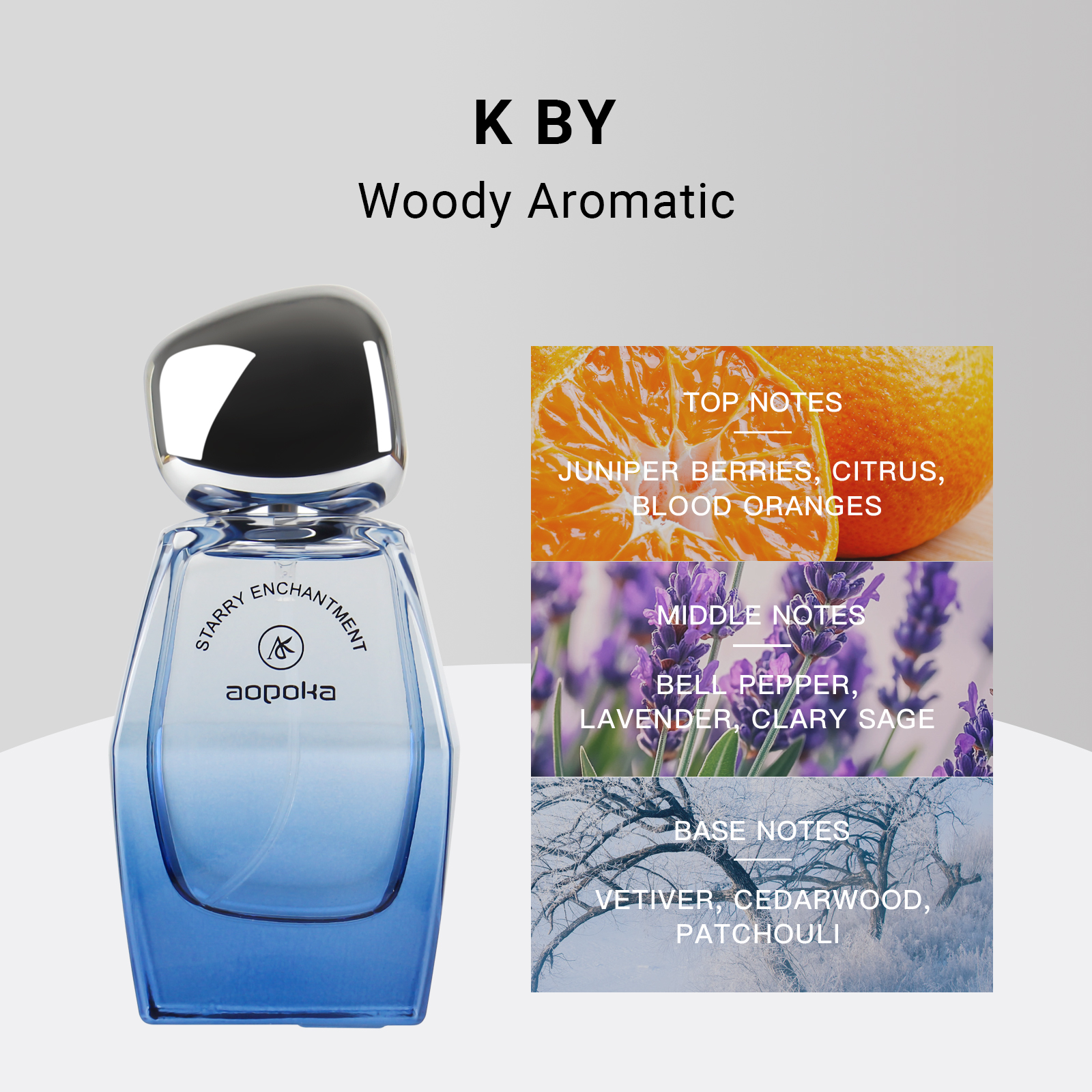 A3019-104   เอ3019-104