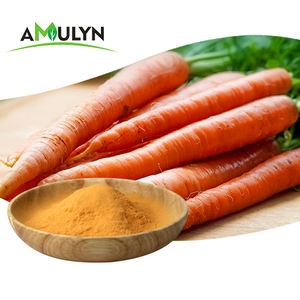 AMULYN Vente en gros de poudre de <span class=keywords><strong>carotte</strong></span> lyophilisée 100% biologique à bas <span class=keywords><strong>prix</strong></span> - Product Image 5