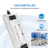 Controlador LED Zetoo de 50W IP66 con Garantía de 5 Años, Control de Tiempo y Atenuación, Salida Única, Carcasa de Aluminio para Alumbrado Público Exterior
