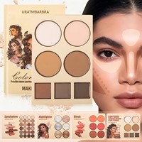 Palette de Fards à Paupières Livre 43 Couleurs En Gros pour Maquillage de Scène Anti-Cernes Illuminateur Fard à Joues Contouring Poudre Anti-Transpiration
