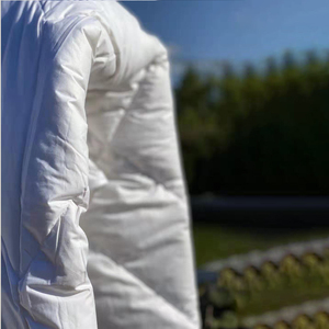 Chăn Sang Trọng Chăn Lông Vũ Trắng Giá Rẻ Trải Giường Khách Sạn 4 Mùa 5 Sao Chăn Lông Vịt Mềm 5% - Product Image 3