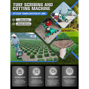 Coupe-herbe agricole, coupe-gazon, tondeuse à gazon avec moteur et boîte <span class=keywords><strong>de</strong></span> vitesses, puissance 9HP, utilisation facile, <span class=keywords><strong>prix</strong></span> abordable - Product Image 3