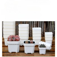 Petit Pot de fleur de cactus succulent de pépinière en plastique de 5cm d'épaisseur Pot carré durable de conception traditionnelle pour l'usage de centre commercial à la maison