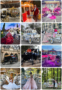Charrette royale de luxe à chevaux, chariot électrique de princesse pour mariage, chariot à chevaux pour transport spécial, charrette électrique à chevaux - Product Image 5